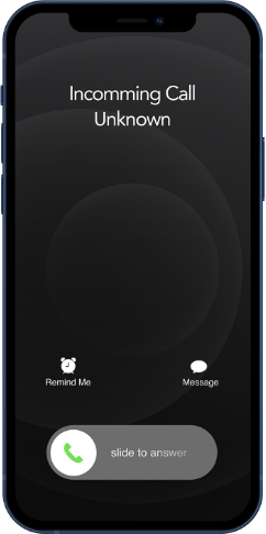 Normal Call Screen